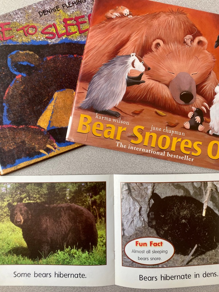 preschool bear hibernation project